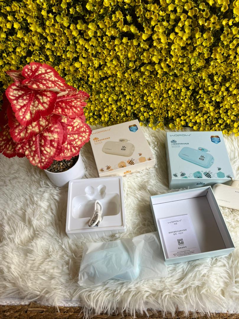 Mini Powerbank 5000 mAh